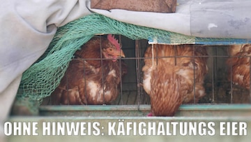 versteckte eier aus kaefighaltung darauf sollten sie beim lebensmittelkauf achten | Versteckte Eier aus Käfighaltung: Darauf sollten Sie beim Lebensmittelkauf achten |