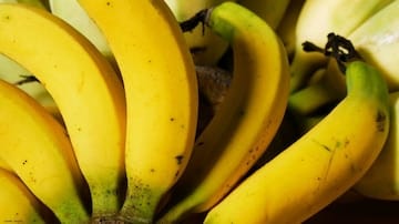 aus gutem grund beliebt so viel steckt in dem wunderobst banane | Aus gutem Grund beliebt: So viel steckt in dem Wunderobst Banane |