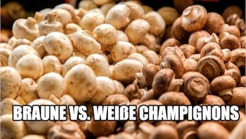 braune vs weisse champignons was sind die unterschiede | Braune vs. weiße Champignons: Was sind die Unterschiede? |