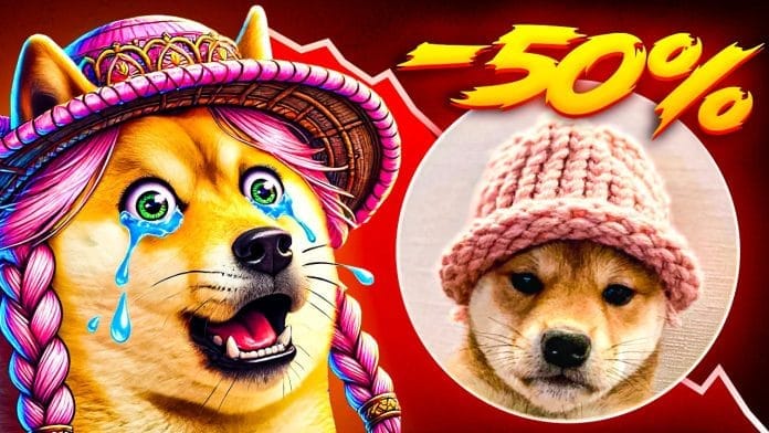 krypto news 50 top krypto analyst sieht dogwifhat wif bis juli auf 1 dollar crashen | Krypto News: -50%! Top-Krypto-Analyst sieht dogwifhat (WIF) bis Juli auf 1 Dollar crashen |